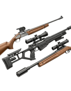 Ver Toutes les carabines